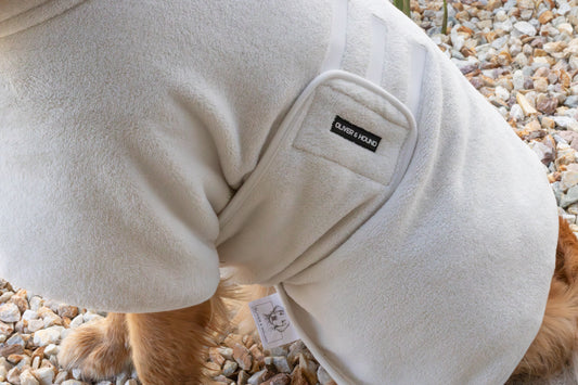 Dog Bath Robe