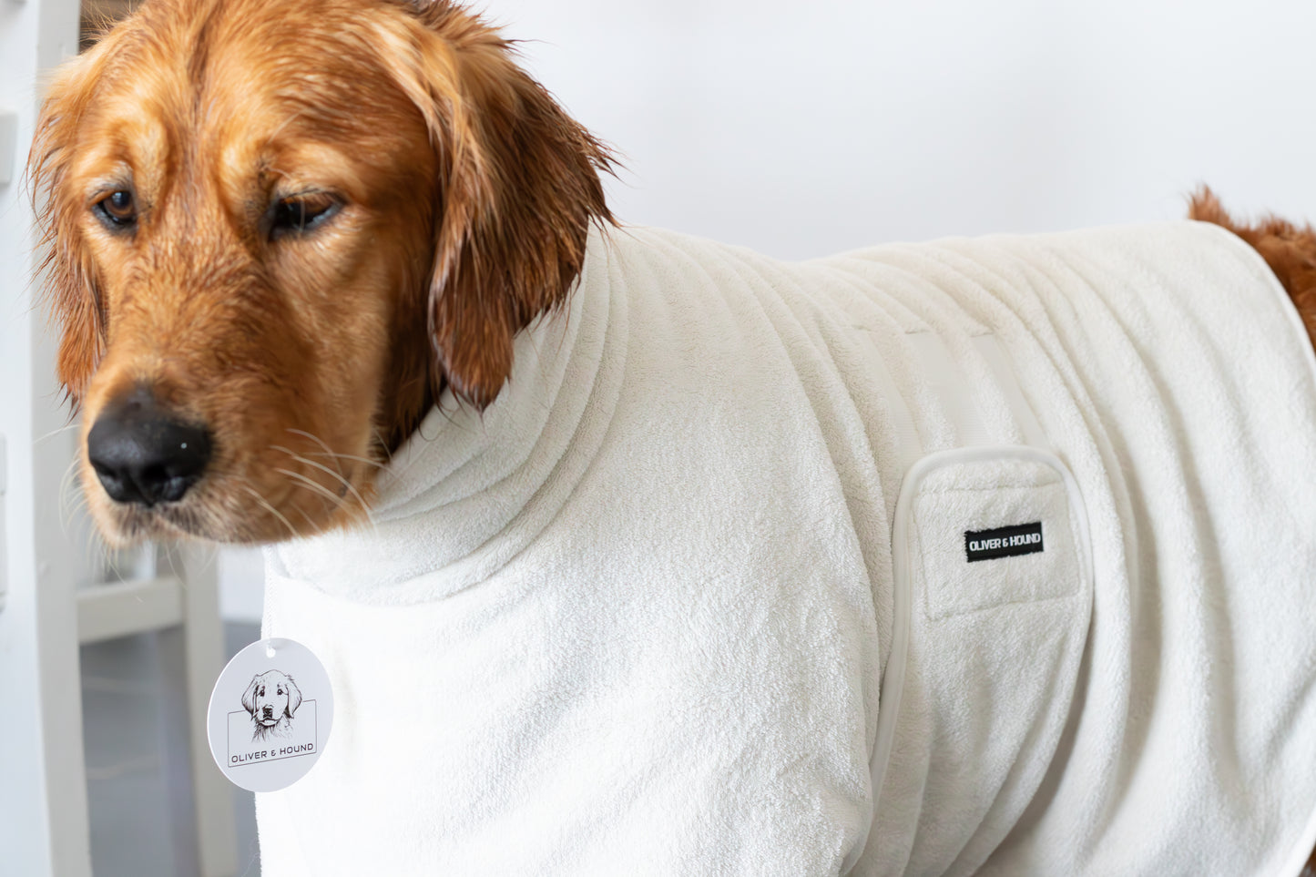Dog Bath Robe