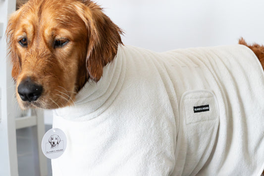 Dog Bath Robe