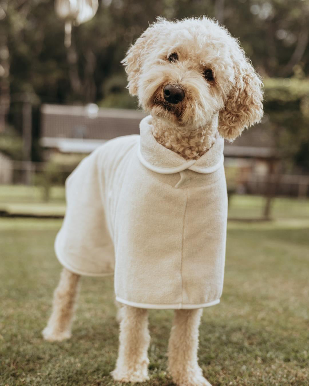 Dog Bath Robe